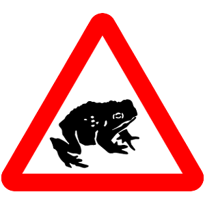 Frog Toad crossing