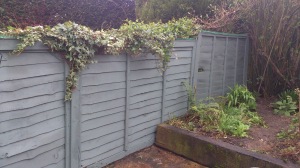 'Wild Thyme' Garden Shades fence paint