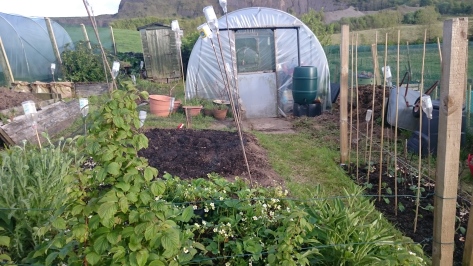 Late May allotment